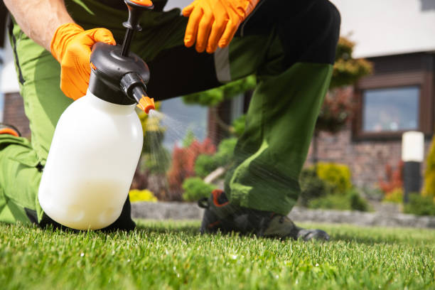 Best Best Pest Control Companies  in Fox River Grove, IL