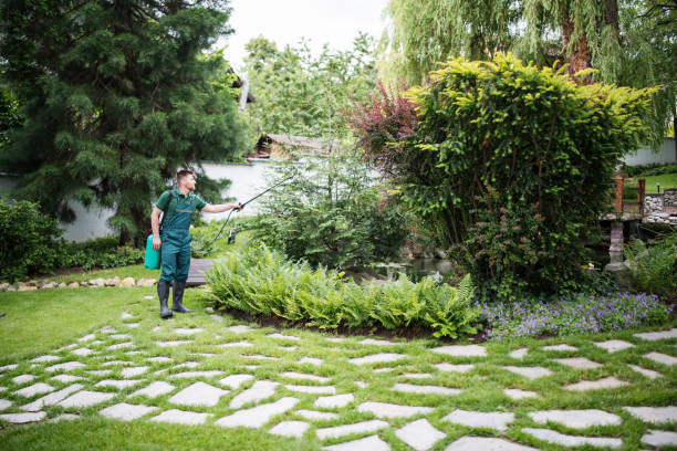 Best Pest Removal Services  in Fox River Grove, IL