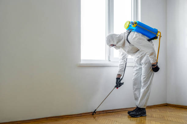 Best Flea Control Services  in Fox River Grove, IL