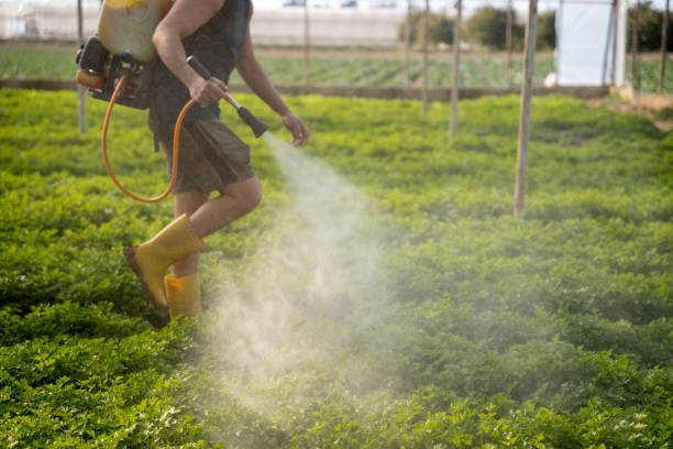 Best Affordable Pest Control Services  in Fox River Grove, IL