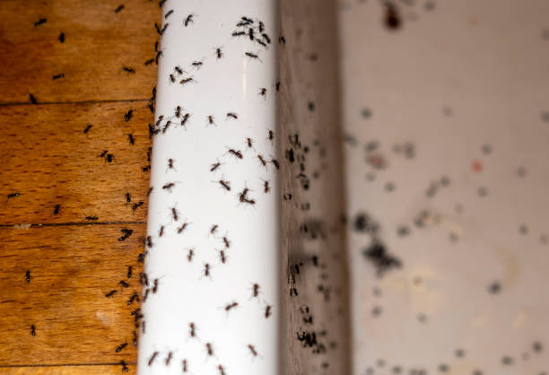 Fox River Grove, IL Pest Control Company