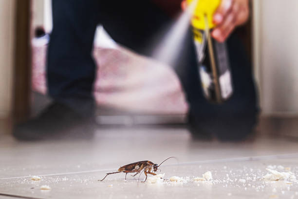 Best Pest Control Near Me in Fox River Grove, IL