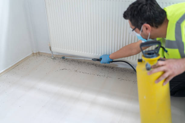 Best Exterminator Services  in Fox River Grove, IL