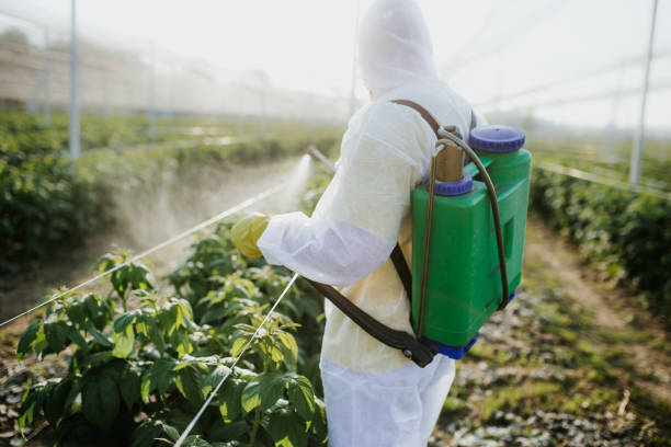 Fox River Grove, IL Pest Control Pros
